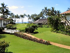 Garden and Beach